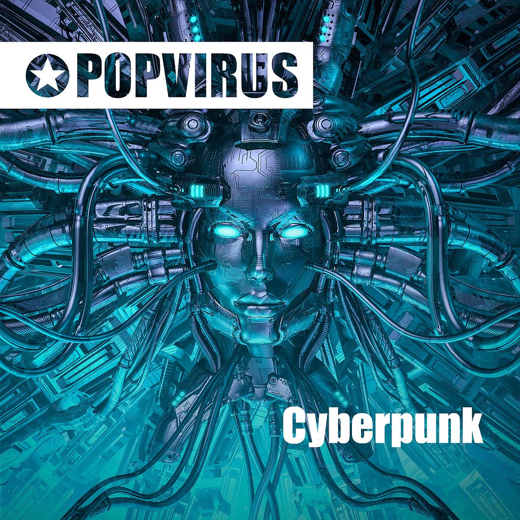 Cyberwarfare